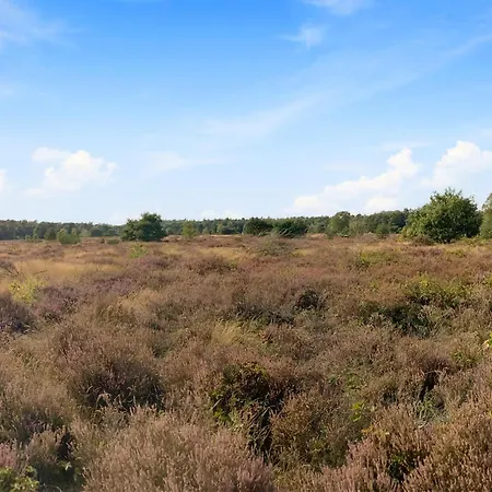 Stunning Stacaravan In Camping Putten