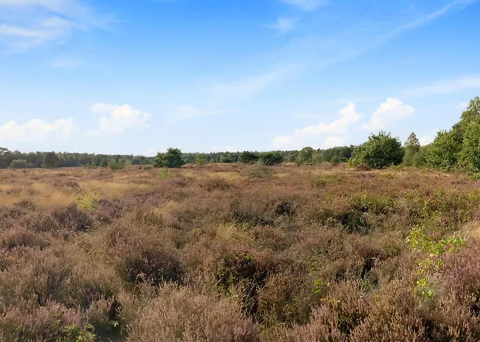 Stunning Stacaravan In Camping Putten