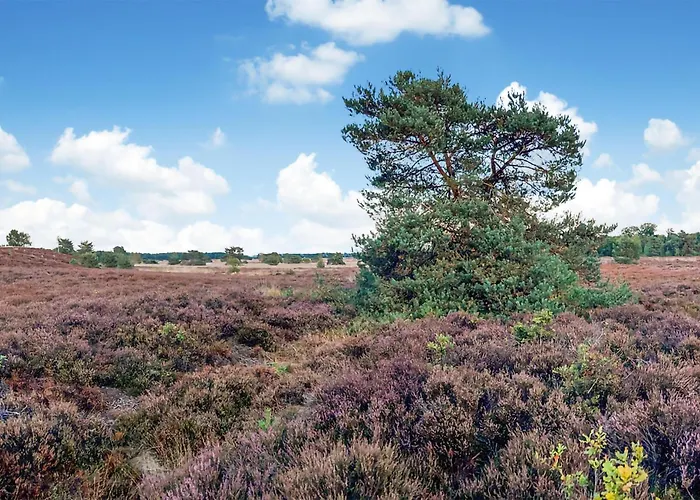 Κάμπινγκ Stunning Stacaravan In Putten